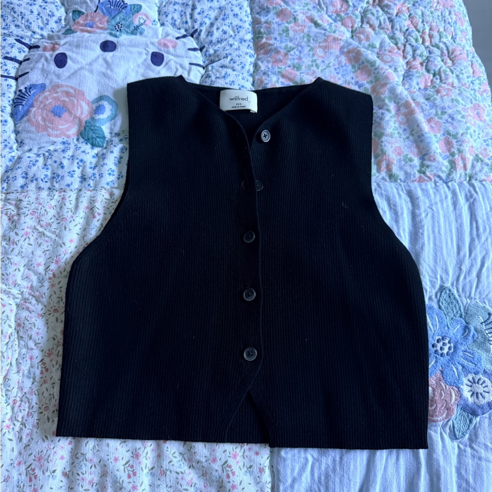 Aritzia vest crop top